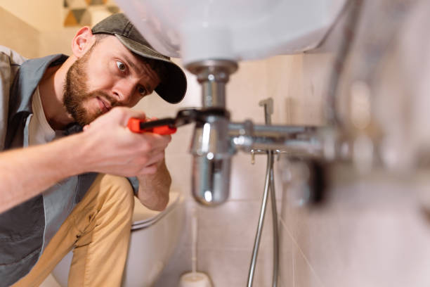 Best Clogged Drain Plumber  in Boulevard Park, WA