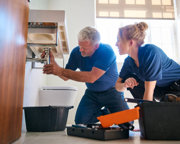Best Drain Cleaning Services  in Boulevard Park, WA